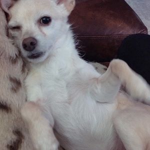 Meet your Posher, Alex